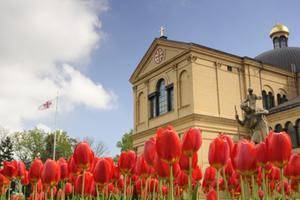 Franciscan Monastery in Washington, D.C. 