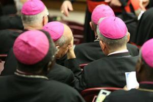 Bishop attend a session of the synod on the family at the Vatican on Oct. 10.