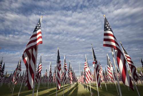 American flags on display for Memorial Day.