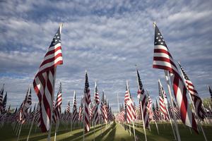 American flags on display for Memorial Day.