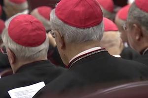 Cardinals listen to Pope Francis' opening address to this week's consistory at the Vatican.