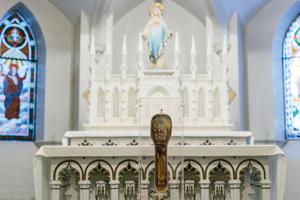 St. Francis Xavier’s arm and hand are on display for veneration. 