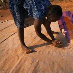 A woman scoops up dried beans at a food distribution point for internally displaced south Sudanese by the World Food Program in January 2011 in the town of Yambio, South Sudan.