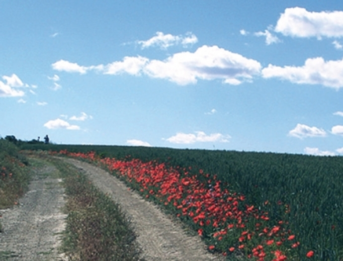 Lessons of St. Ignatius Along the ‘Way’ National Catholic Register