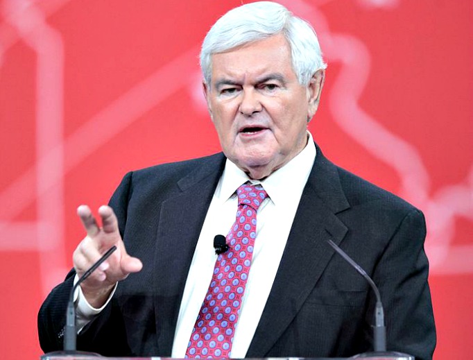 Former Speaker of the House Newt Gingrich