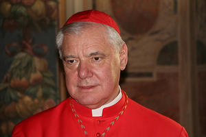 Cardinal Gerhard Müller