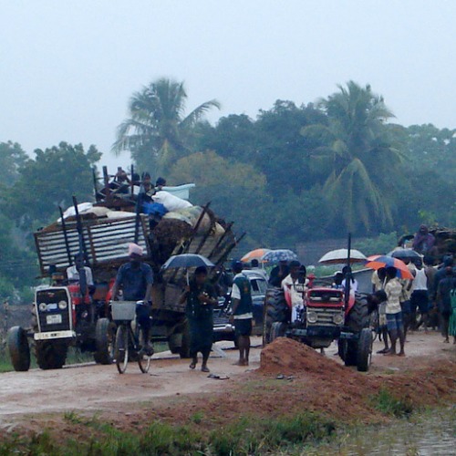 Civilians flee from parts of Tamil areas in Sri Lanka in January 2009 as a result of the Sri Lanka Army's military offensive. 