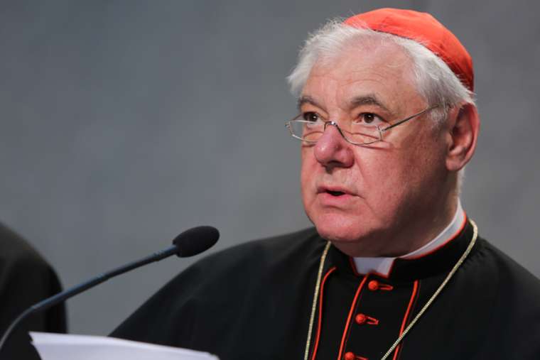 Cardinal Gerhard Müller, then-prefect of the Congregation for the Doctrine of the Faith, speaks at the Vatican June 14, 2016. 