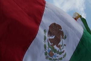 Flag of Mexico during the Angelus address in St. Peter's Square on the feast of the Baptism of Jesus, Jan. 10.



