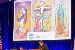 Archbishop Christophe Pierre addresses the U.S. bishops Nov. 12 in Baltimore.