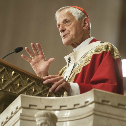 Cardinal Donald Wuerl delivers his homily at the Mass of the Holy Spirit at The Catholic University of America on Aug. 28.