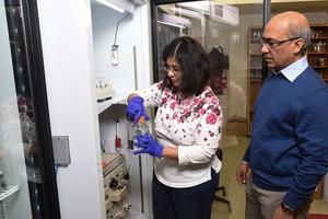 Prof. Venigalla Rao working in the lab. 