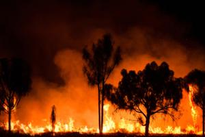 Fires raging across New South Wales, Australia, 2020.