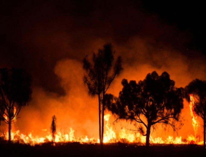 Fires raging across New South Wales, Australia, 2020.