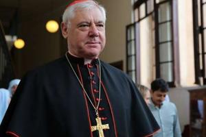 Cardinal Gerhard Müller, attending a conference at the Pontifical Angelicum University in Rome on June 13, 2015. 