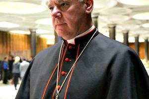Cardinal Gerhard Müller, prefect of the Congregation for the Doctrine of the Faith, at the Vatican's Synod Hall.
