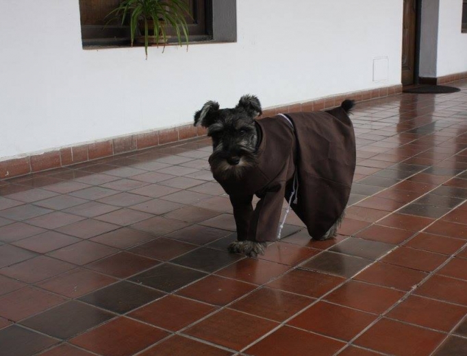 Friar Carmelo is nicknamed him Friar Bigotón (Spanish for ‘mustache’).