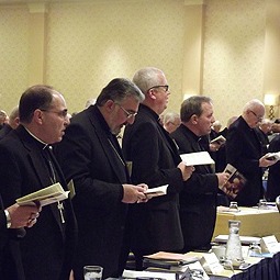 USCCB 2012 Fall General Assembly. 
