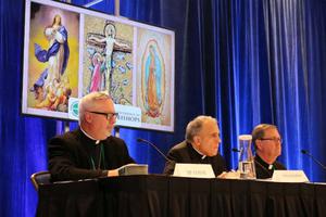 From left to right: Bishop Christopher Coyne, Cardinal Daniel DiNardo and Bishop Timothy Doherty at the USCCB news conference in Baltimore Nov. 12.

