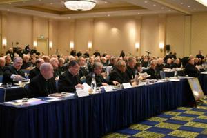 The USCCB autumn meeting is underway in Baltimore Nov. 11.