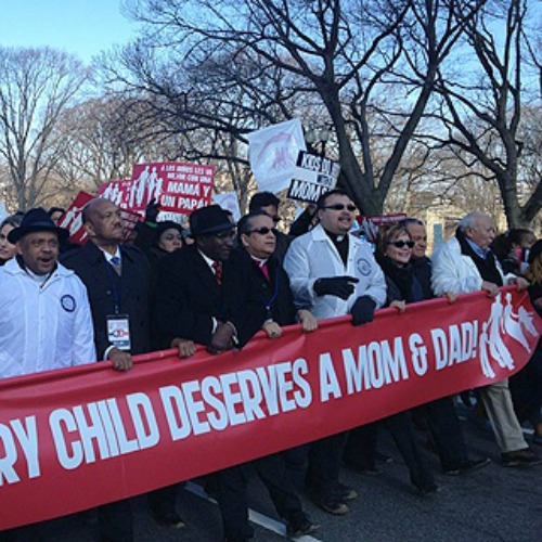 2013 March for Marriage participants carry a banner in Washington.