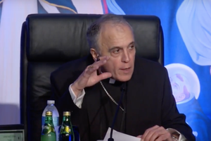 Cardinal Daniel DiNardo of Galveston-Houston speaks June 13 at the 2018 spring general assembly of the U.S. Conference of Catholic Bishops.