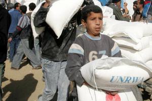 A Palestinian boy helps to unload food aid from the United Nations Relief and Works Agency (UNRWA) in al-Shati refugee camp  in Gaza City, Gaza Strip. 

