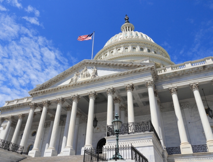 United States Capitol in Washington, D.C. 