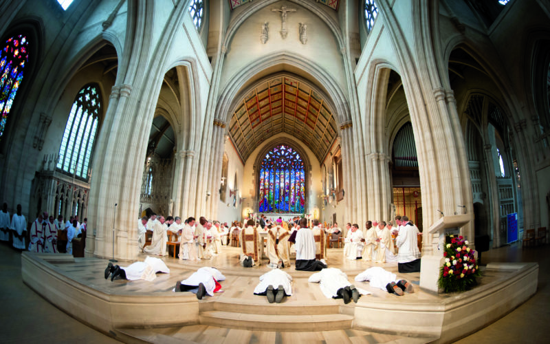 Click on the In This Moment of Crisis, the Church Desperately Needs Good Priests link to read more.