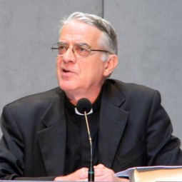 Vatican spokesman Father Federico Lombardi explained that the document on economics was not 'an expression of papal magisterium.'