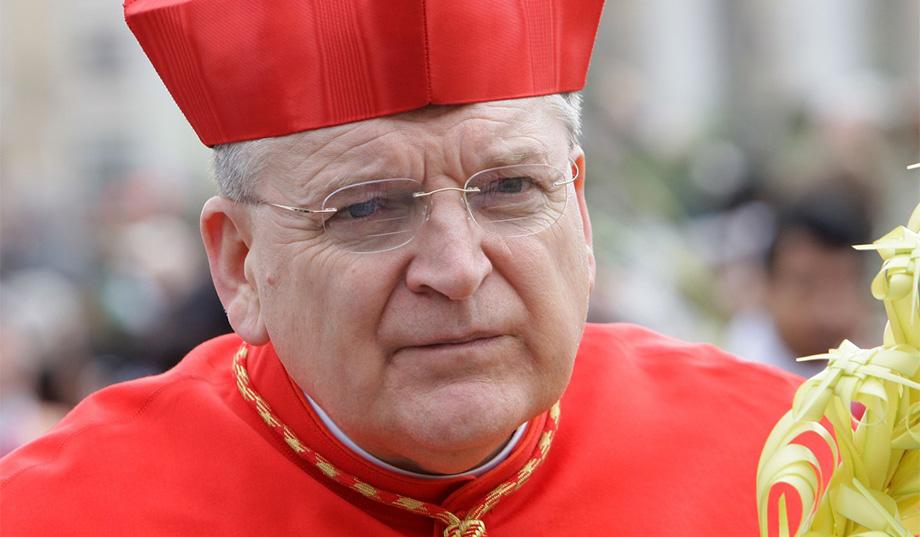 Click on the 'Perhaps We Have Arrived at the End Times': An Interview with Cardinal Burke link to read more.