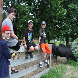 Young helpers lend a hand on the farm.