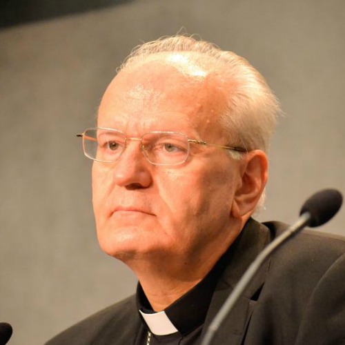 Cardinal Peter Erdo of Esztergom-Budapest, general rapporteur of the the Extraordinary Synod on the Family.