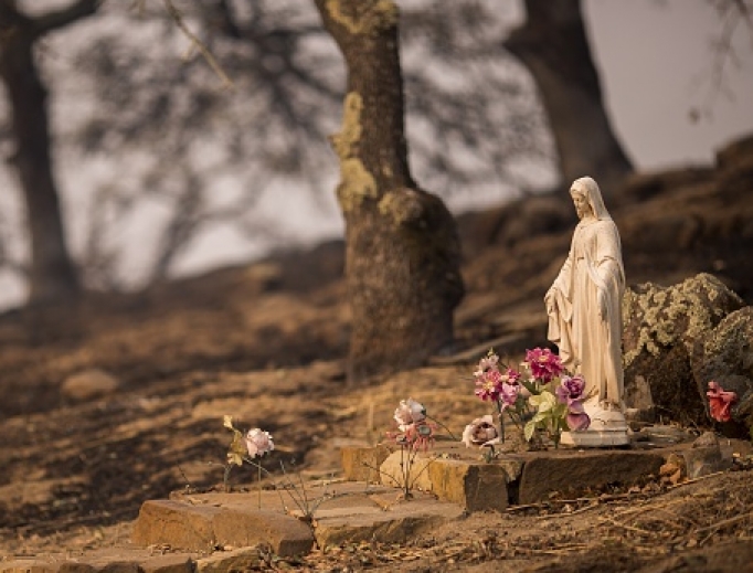 A Blessed Mother statue remains standing and nearly unscorched in a forest that burned in the Atlas Fire Oct. 11 near Napa, California. 

