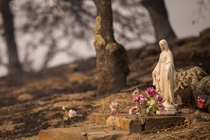 A Blessed Mother statue remains standing and nearly unscorched in a forest that burned in the Atlas Fire Oct. 11 near Napa, California. 
