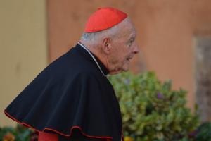 Cardinal Theodore McCarrick, archbishop emeritus of Washington is at the center of the latest sex-abuse scandal to hit the Church. Cardinal Theodore McCarrick, archbishop emeritus of Washington is at the center of the latest sex-abuse scandal to hit the Church.