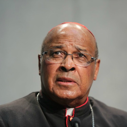 Cardinal Wilfrid Napier of South Africa speaks at a briefing on the Synod of Bishops on Oct. 20 in the Holy See Press Office.