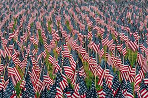 American flags