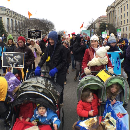 Pro-life groups gather for the March for Life in Washington on the 43rd anniversary of Roe v. Wade, Jan. 22.
