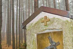The St. Kateri Conservation Center is committed to caring for creation. The St. Kateri Conservation Center is committed to caring for creation.