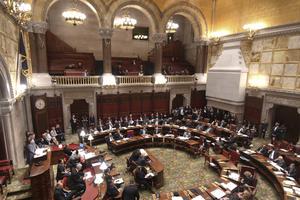 Members of the New York Senate vote for the Child Victims Act in the Senate Chamber at the New York State Capitol Jan. 28 in Albany, N.Y. 