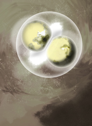 Illustration of early-stage embryo.