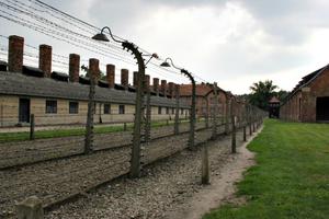 Pope Francis, just as St. John Paul II and Pope Benedict XVI did, will visit the Auschwitz Nazi concentration camp in Poland. Pope Francis, just as St. John Paul II and Pope Benedict XVI did, will visit the Auschwitz Nazi concentration camp in Poland.