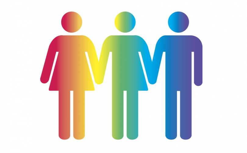Click on the Transgenderism: A State-Sponsored Religion? link to read more.
