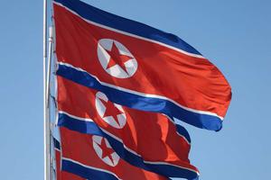 North Korean flies in Pyongyang