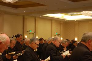 Bishops from across the United States take part in the 2013 Fall General Assembly in Baltimore.

