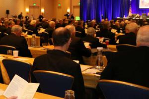 The USCCB autumn meeting in Baltimore Nov. 12. 

