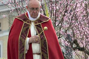 Pope Francis celebrates Palm Sunday Mass in St. Peter's Square on March 24, 2013.



