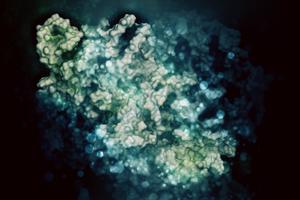 CRISPR-CAS9 gene editing complex from Streptococcus pyogenes 