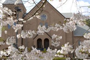 Pontifex University